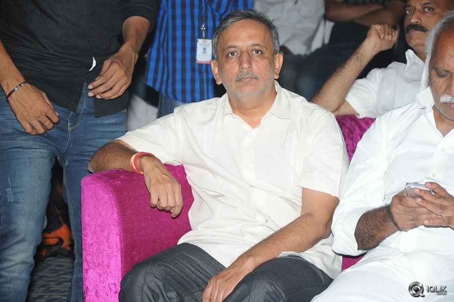 Hora-Hori-Movie-Audio-Launch